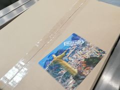 -谢列梅捷沃国际机场