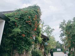 -回龙窝历史文化街区