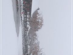 -颐和园