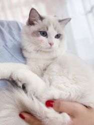 -Beauty Nails 美甲美睫皮肤管理