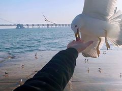 -星海广场