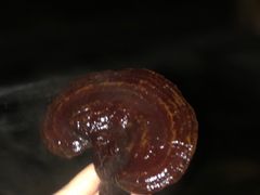 -仁爱团泊湖温泉中心