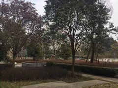 -逸林轩中餐厅(中信泰富朱家角锦江酒店)
