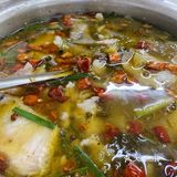 海口太二酸菜鱼的平价替代酸菜鱼
