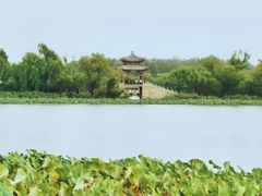-颐和园