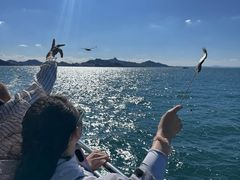 -海驴岛(荣成市)