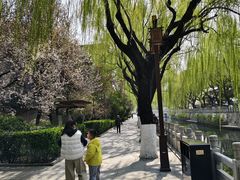 -环城公园