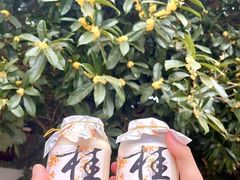 -耕渔小院·湖南鱼鲜(望城店)