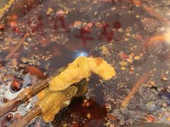 -阳阳老火锅(小南门店)