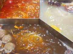 -蜀九鼎·四川火锅·毛肚是招牌(惠安店)