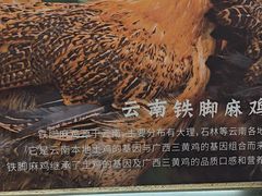 -云海肴·汽锅鸡·云南菜(天津国金汇店)