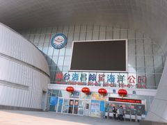 -烟台海昌鲸鲨海洋公园