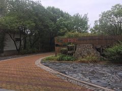 -同里国家湿地公园