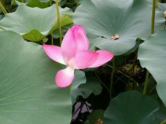 -小王府(什刹海店)