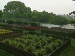 -太阳岛度假酒店