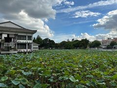 -荔湾湖公园