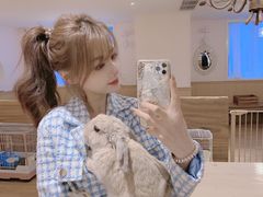 -猫猫幼稚园·撸猫·桌游·电玩