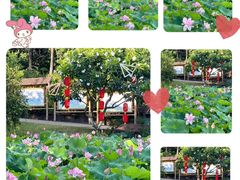 -广州莲花山旅游区