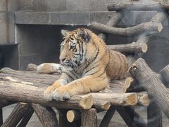 -西安秦岭野生动物园