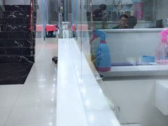 -瑞鹏宠物医院华南总院·夜诊·心脏科·骨科