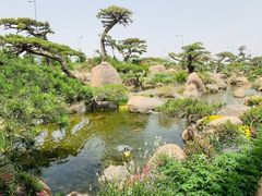 -罗红摄影艺术馆