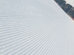 -蓟洲国际滑雪场