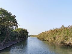 -大湾区中央湿地公园