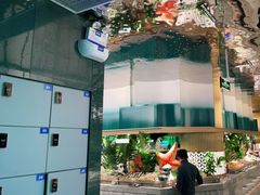 -亚马逊海鲜自助(梅溪湖步步高店)