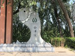 -白洋淀景区