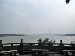 -舟舟刮凉粉