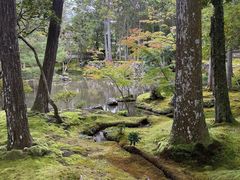 -西芳寺(苔寺)