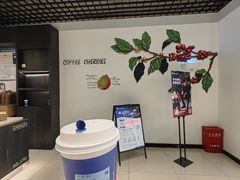 -瑞幸咖啡(合肥南站北广场店)