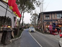 -三圣花乡旅游区