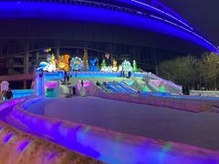 -沈阳奥体冰雪嘉年华