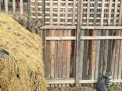 -宝岩生态观光园