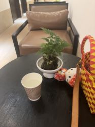 -上海薇琳医疗美容医院