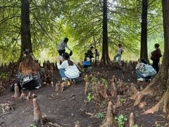 -溱湖国家湿地公园