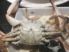 -苏大嘴海鲜牧场(奥林匹克店)