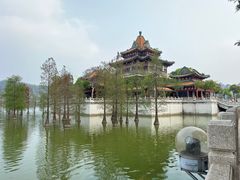 -顺峰山公园