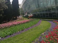 -石家庄市植物园