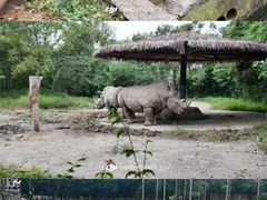 -宁波野生动物园