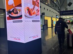 -维也纳国际机场