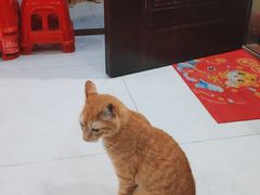 -广州市白云区图书馆