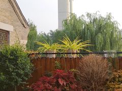 -IFIF 如果花園(宽厚里店)