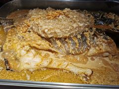 -鱼酷活鱼烤鱼(沈阳大悦城店)