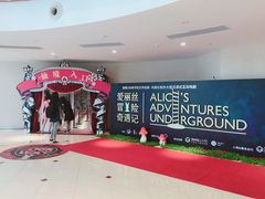 -爱丽丝冒险奇遇记