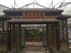 -上海都市菜园