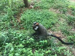 -宁波野生动物园