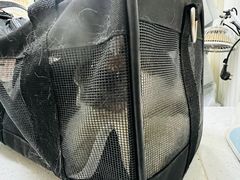 -瑞派宠物医院·犬猫全科·猫友好(宾水西道店)