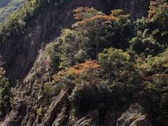 -楠溪江石桅岩